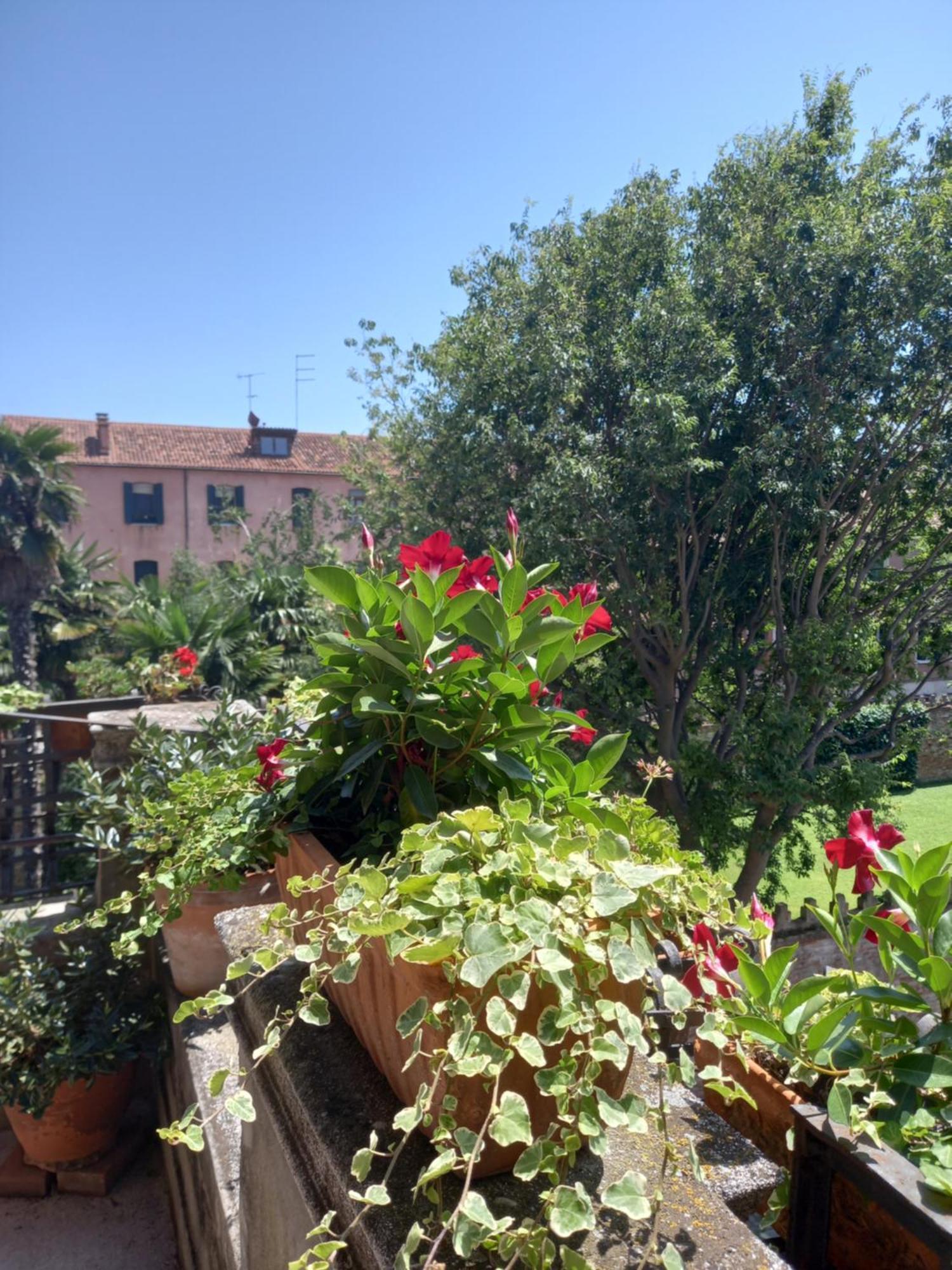 Ferienwohnung Giudecca Palanca 664 Venedig Exterior foto